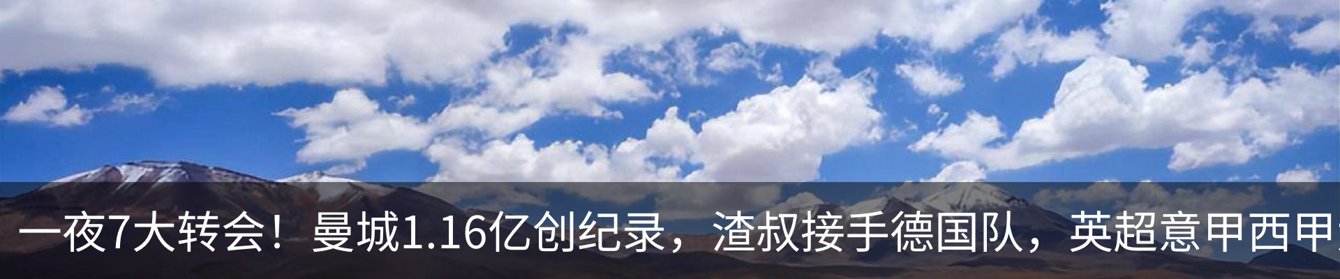 新闻动态