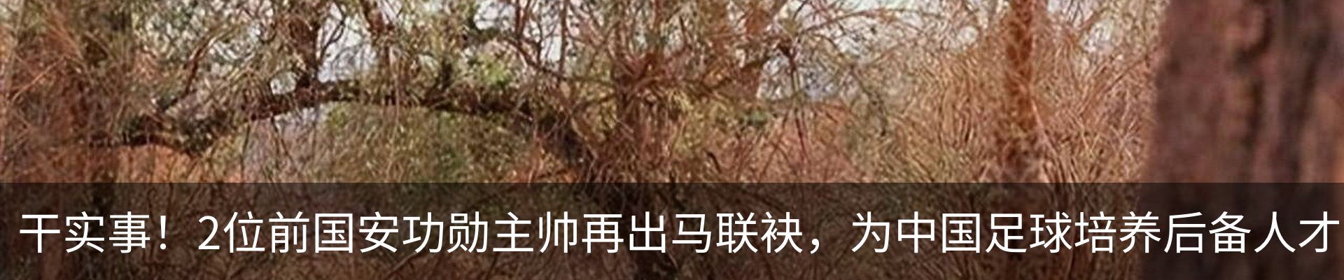 新闻动态